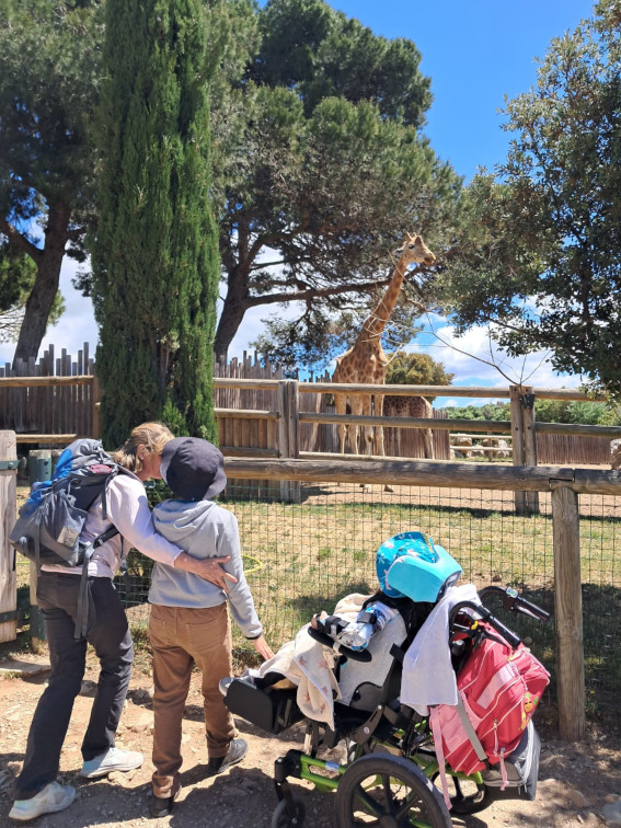accompagnant girafe accompagnant girafe