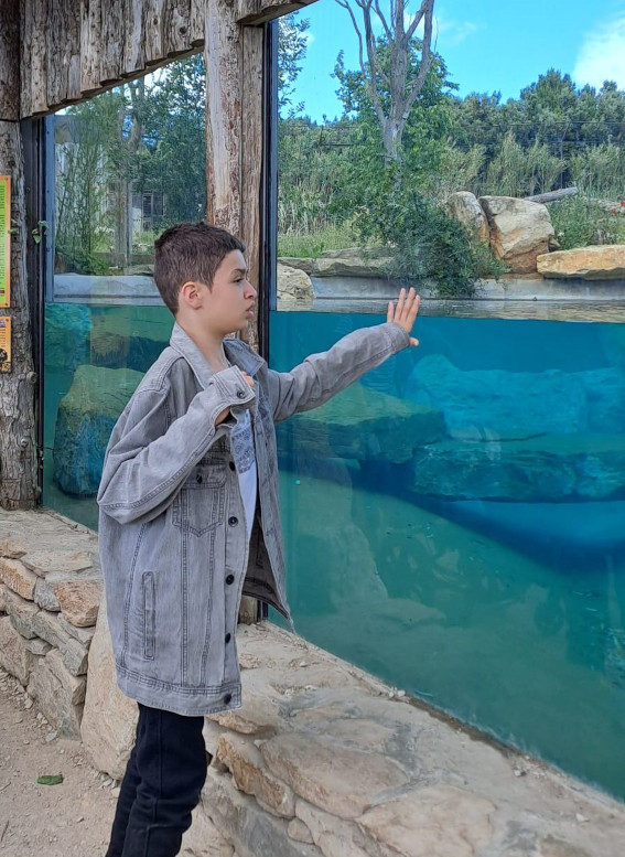 jeune aquarium jeune aquarium